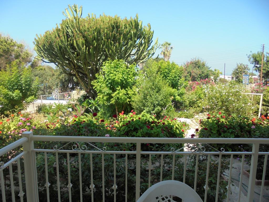 Niki Court Holiday Apartments Paphos Esterno foto